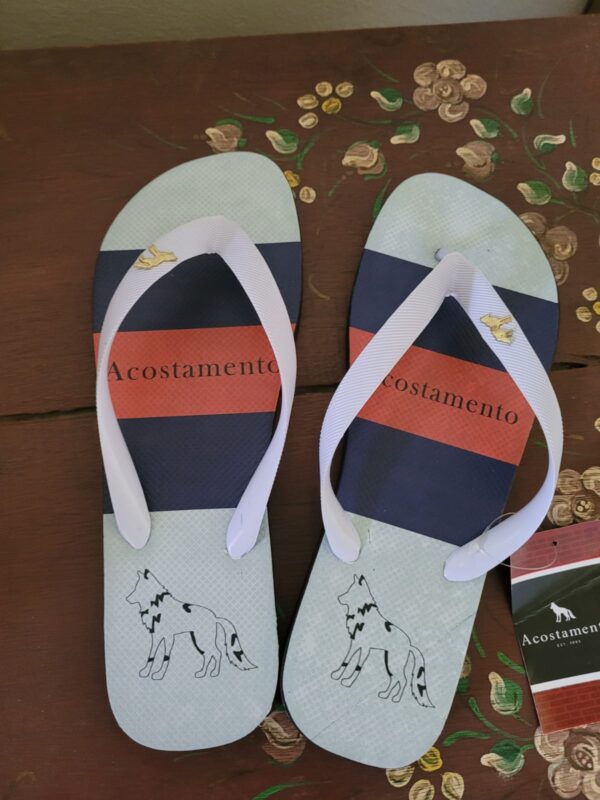 CH MASCULINO ACOSTAMENTO C/ 12 UNIDADES