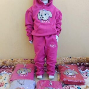 CONJ INFANTIL MOLETON 2 AO 10 C/10 UNIDADES (REIS)