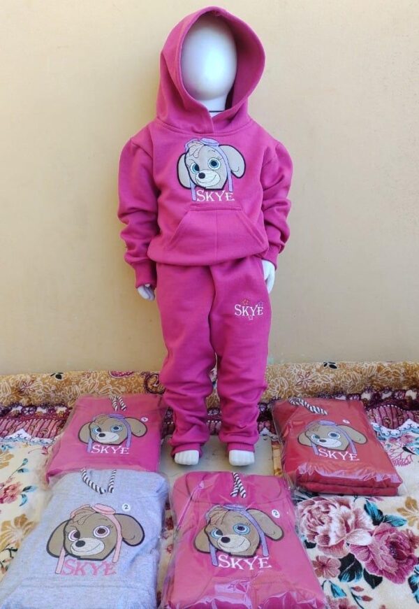 CONJ INFANTIL MOLETON 2 AO 10 C/10 UNIDADES (REIS)