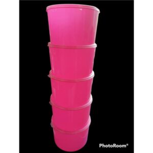 JOGO 5 POTES 2L NEON DIVERSOS